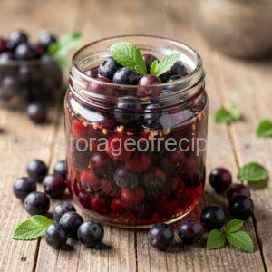 Sweet-and-Sour Blackthorn (Sloe)